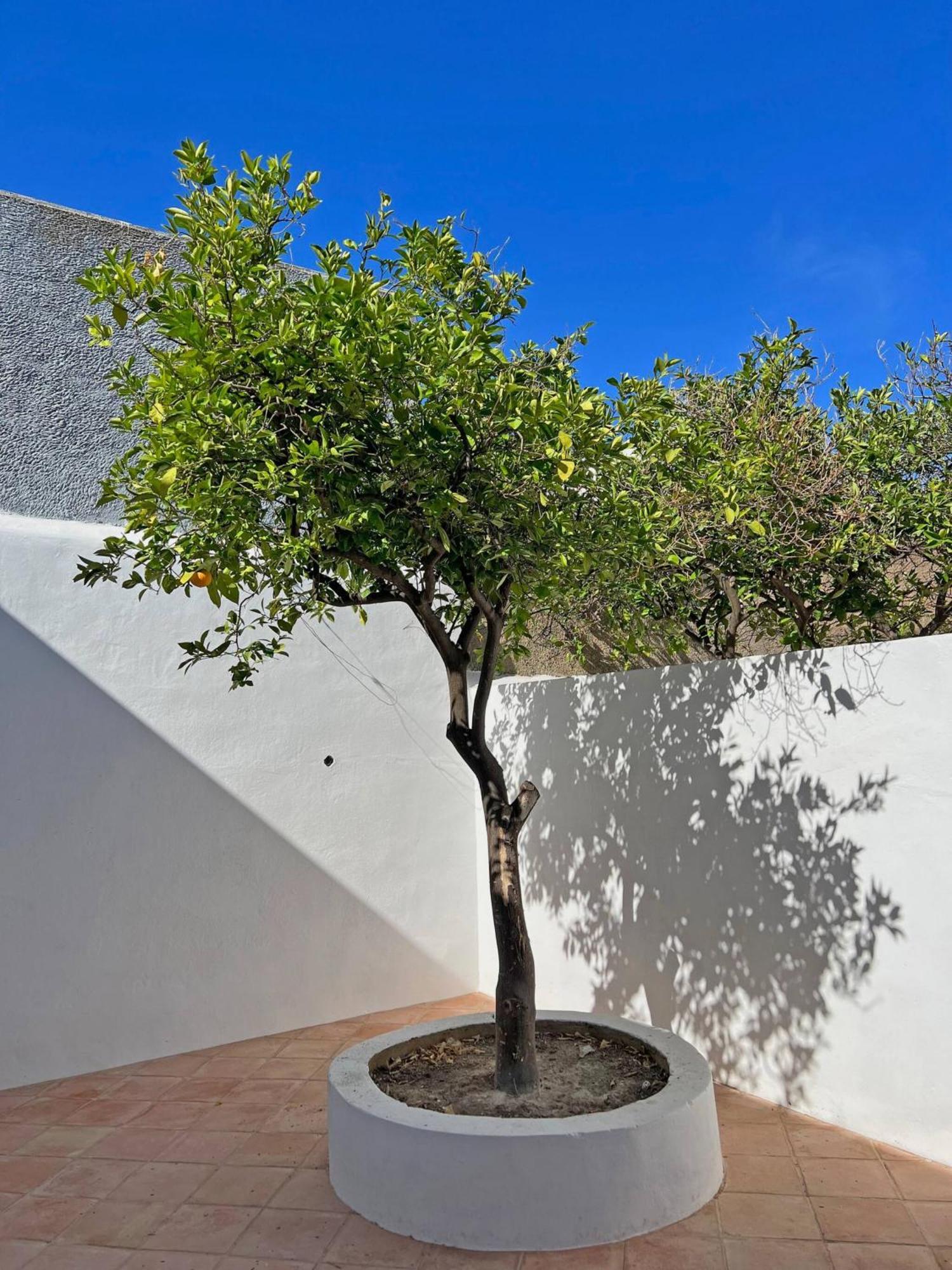 Casa Florence - Fuseta Exteriör bild